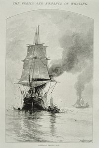 "Whalers Trying Out" (kaivertaa valaan ja nostaa sen lihaa kyytiin), "The Perils and Romance of Whaling" -julkaisussa Century Magazine, elokuu 1890 (kaiverrus)