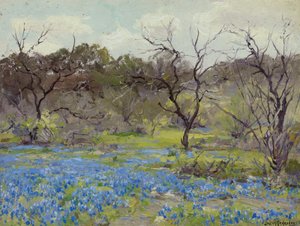Varhaiskevät-Bluebonnets ja Mesquite