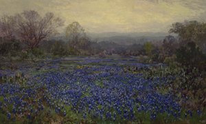 Nimetön - Field of Bluebonnets (öljy kankaalle)
