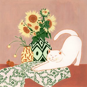 Happy Cat -auringonkukat