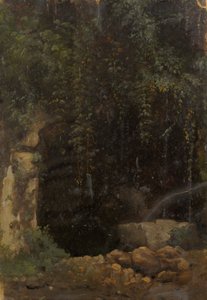 Viro: "Allikas"