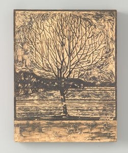 Lehtikaali puomi tekijältä Julie de Graag (signed by artist)