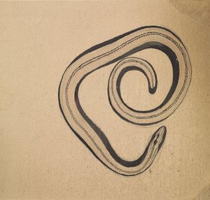 Haselmato