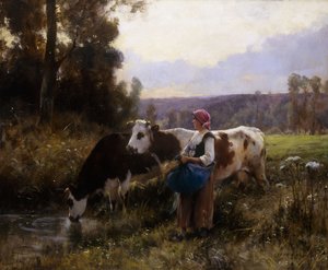 Lehmät juomapaikalla