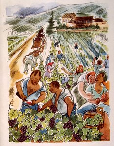 Ranskalainen viinitarha. 1944. Kuvitus Julien Pavil