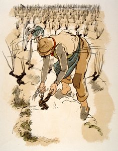 Humoristinen viinikuvitus 1946. Kuvitus Julien Pavil tekijältä Julien Pavil