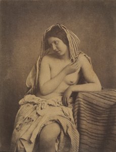 Study after Nature, n. 1853-1855.