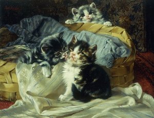 Leikkiset kissanpennut