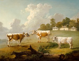 "Three Long-horned Cattle at Kenwood", 1797 tekijältä Julius Caesar Ibbetson