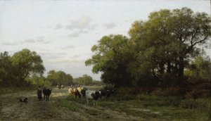 Maisema Drenthessä