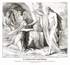 Kukat tekijältä Julius Schnorr von Carolsfeld