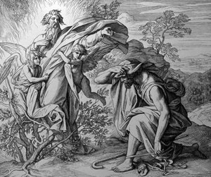 Palava pensas tekijältä Julius Schnorr von Carolsfeld