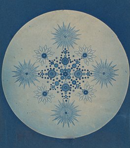 [Piilevien karvat], n. 1870. tekijältä Julius Wiesner.
