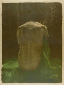 Weiblicher Rückenakt auf grünem Tuch tekijältä Käthe Kollwitz