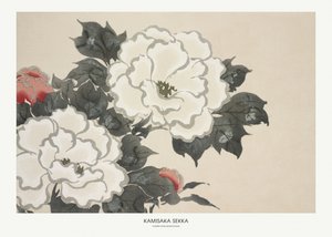 Kukkia Momoyogusasta tekijältä Kamisaka Sekka