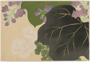 Sadan maailman kukat (Momoyogusa): Chrysanthemum ja Paulownia (Kikukiri) tekijältä Kamisaka Sekka
