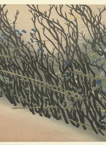Pensasaita syksyn kukilla A Thousand Grasses (sarjan nimi) Chigusa (sarjan nimi) tekijältä Kamisaka Sekka