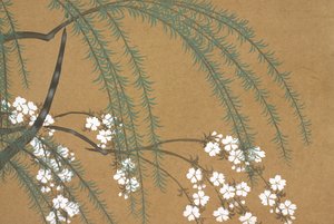 Yanagi Sakura, fromomoyogusa