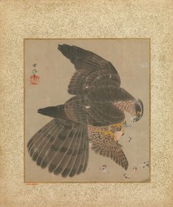 Hawksin ja kalligrafian albumi, 1600-1700.