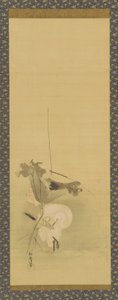 Heron ja lootus, Edo-kausi, 1600-luvun puoliväli - 1700-luvun alku.