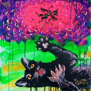 Leikkisä musta kissa -fantasia