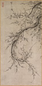 Prunus, 1600-luku. tekijältä Kano Ein