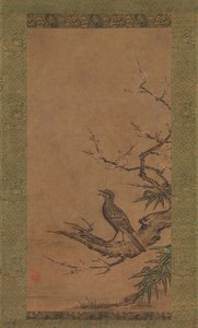 Bulbul d