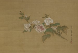 Kukkivan hibiskuksen oksa, Edo Period (väri silkillä)