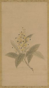 Mispelien haara, Edo-kausi, 1600-luku. tekijältä Kanō Tan’yū