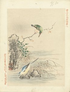 Kingfisher katselee lintua veden äärellä Kano Tsunenobun kukka- ja lintupiirrokset (sarjan nimi) Kano Tsunenobu kacho gafu (sarjan nimi esineellä)