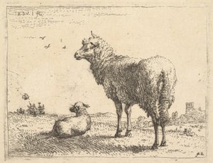 Kypsä lammas seisoo ja katsoo vasemmalle kolme neljäsosaa, sen vieressä makaa lammas..., n. 1655.