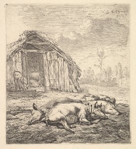 Kolme sikaa kyljellään, sikala ja kaukalo takana, 1652.
