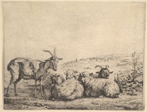 Kaksi vuohet ja kolme lammasta, 1655. tekijältä Karel Du Jardin
