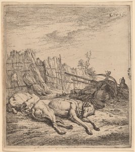 Metsästyskoirat tekijältä Karel Dujardin