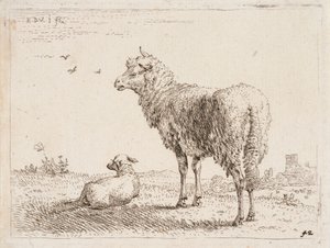 Lammas ja karitsa tekijältä Karel Dujardin