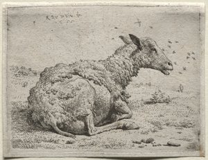 Lampaat ja kärpäset tekijältä Karel Dujardin