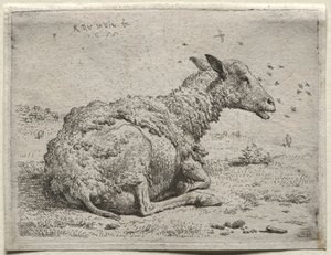 Lampaat ja kärpäset. tekijältä Karel Dujardin