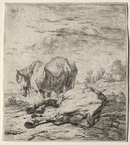 Kaksi hevosta tekijältä Karel Dujardin