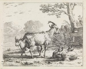  tekijältä Karel Dujardin