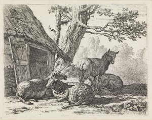 tekijältä Karel Dujardin