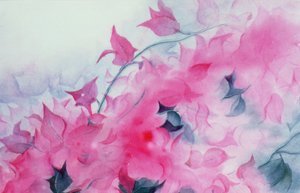 Bougainvillia tekijältä Karen Armitage