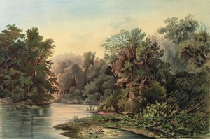 Metsäkohtaus Lehigh-joella, Pennsylvania, levy 1 teoksen `Matkoja Pohjois-Amerikan sisämaassa