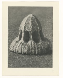 Kasvien tutkimukset Taiteen arkkityypit: valokuvalliset kuvat kasveista (sarjan nimi) tekijältä Karl Blossfeldt