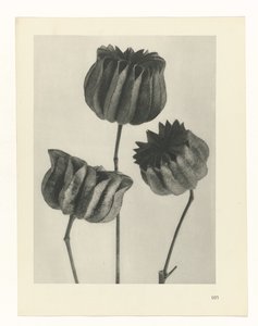 estudi del pla Archetypes of Art (títol de la sèrie) finlandès
