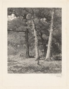 Metsän raivaus tekijältä Karl Bodmer