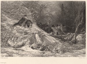 Suojaa pakkaselta tekijältä Karl Bodmer