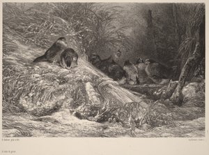 Pakkaselta suojassa tekijältä Karl Bodmer