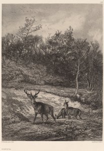 Veden äärellä. tekijältä Karl Bodmer