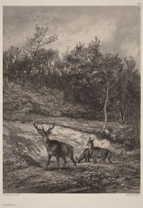 Veden äärellä tekijältä Karl Bodmer
