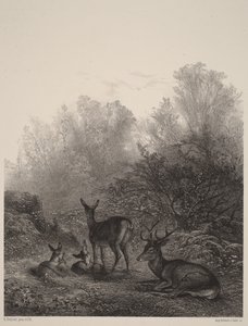Lepäävät naarashirvet tekijältä Karl Bodmer